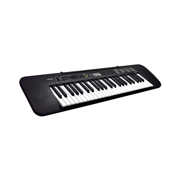 Casio CTK-240 Keyboard