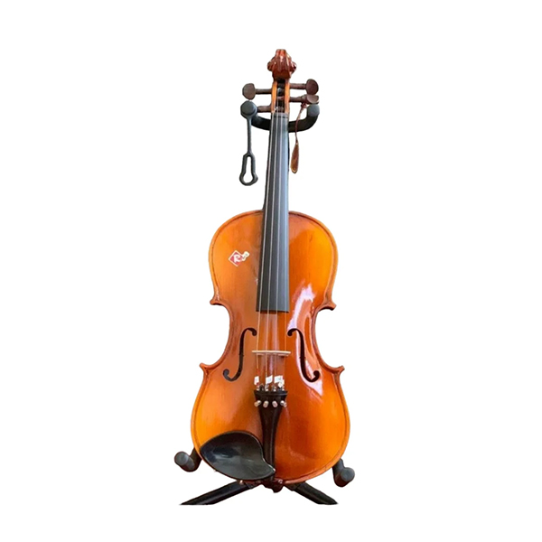 Ragas Indian Made Violin